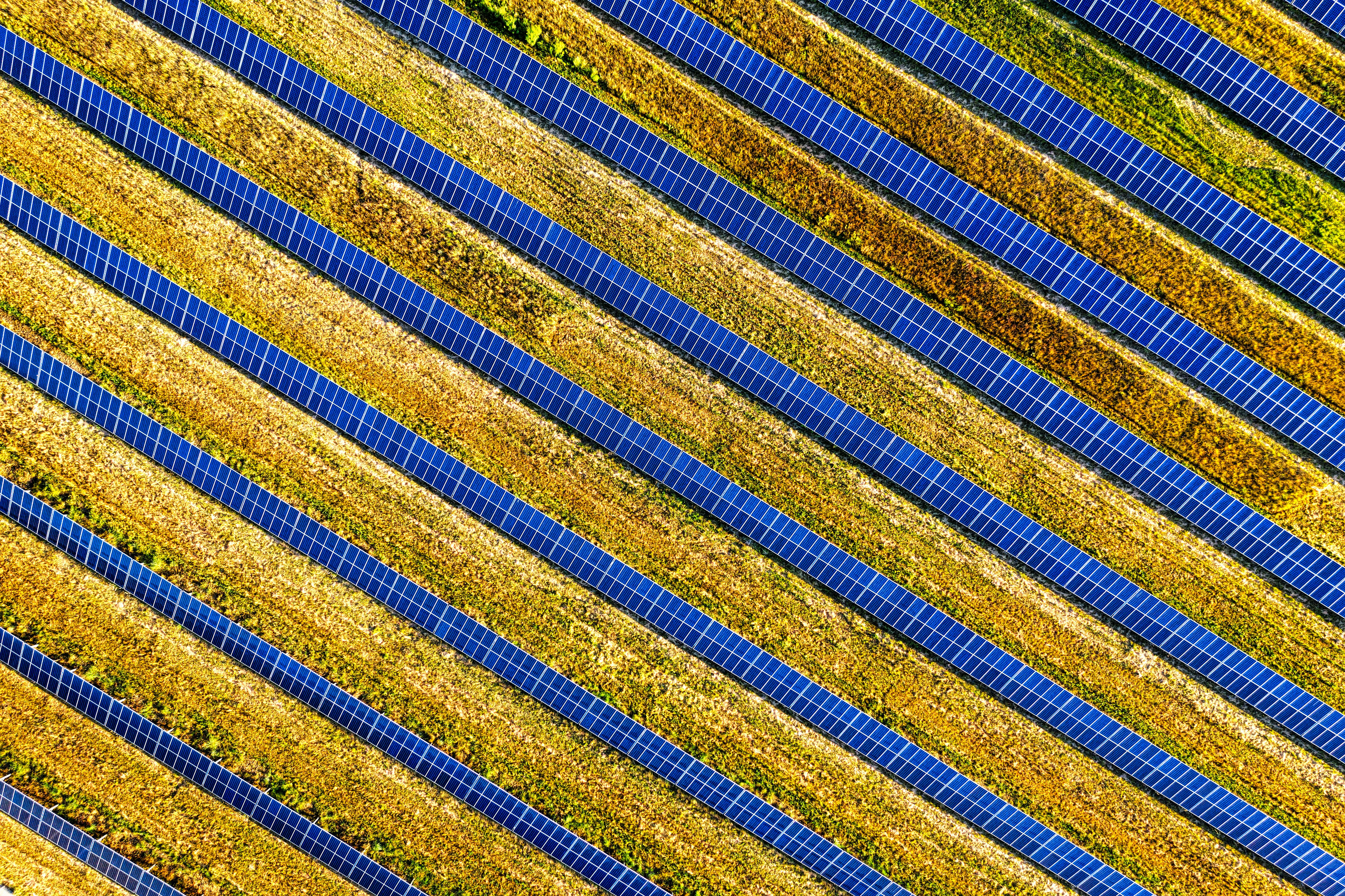 Aerial view of utility-scale solar panel array